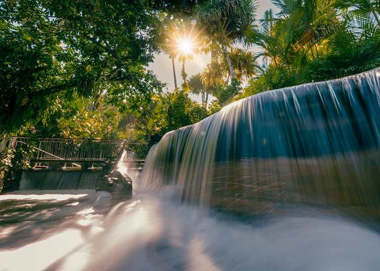 Gardens and grounds, Tabacon Thermal Resort & Spa
