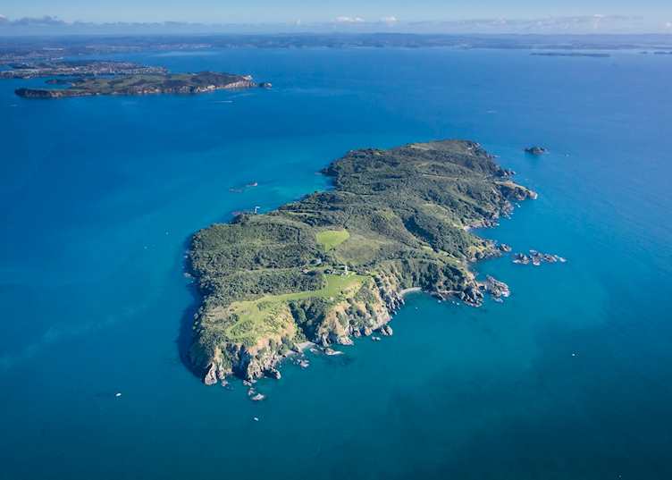 Tiritiri Matangi Island