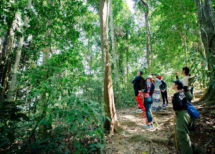 Jungle trekking with Elephant Hills