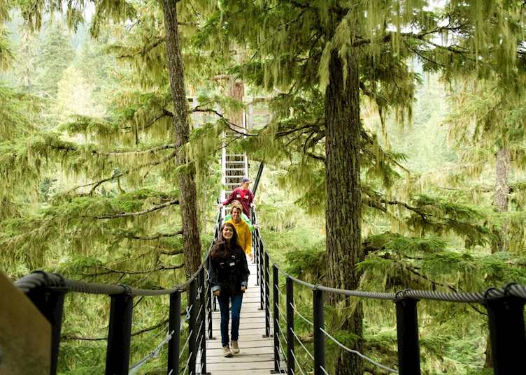 Tree Trek canopy walk whistler