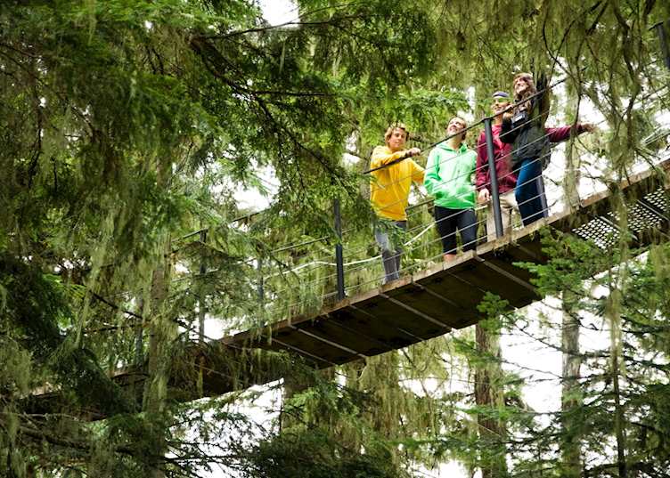 Tree Trek Canopy Walk Whistler