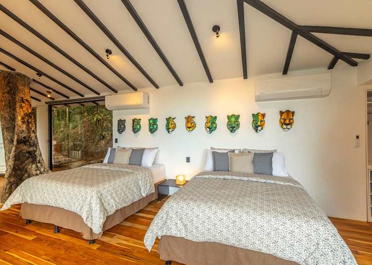 Room, Dantica Cloud Forest Lodge 