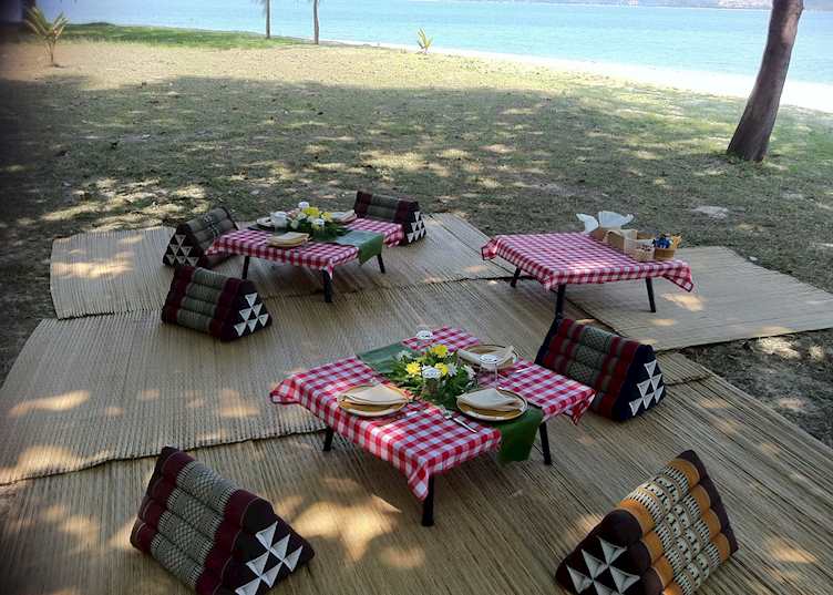 Picnic lunch set up