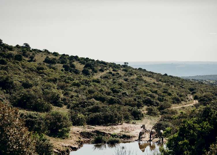 Bukela Game Lodge