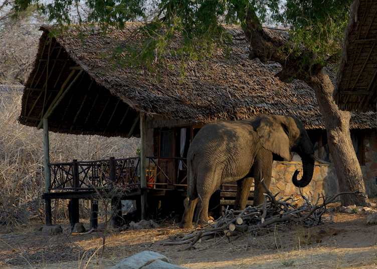 Ruaha River Lodge