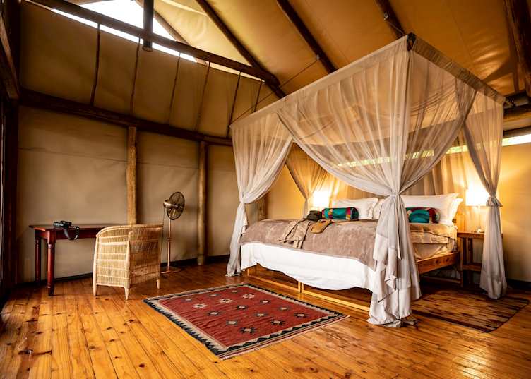 Mokolwane Camp