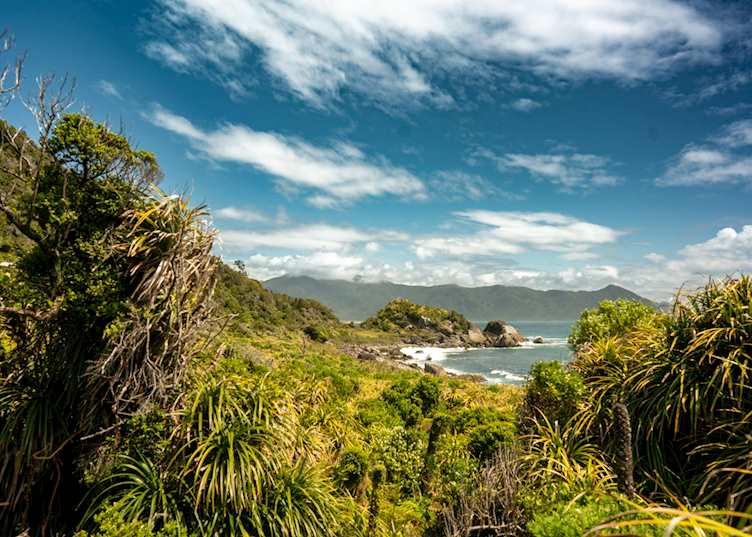 Hollyford Track