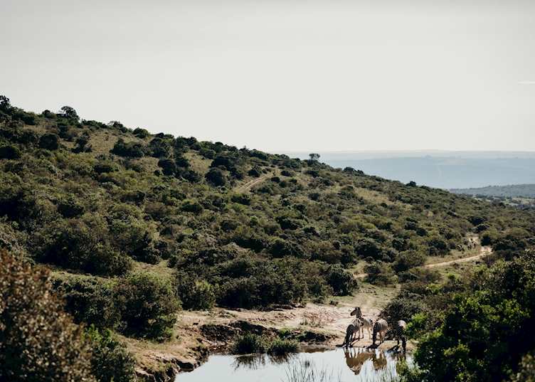 Bukela Game Lodge