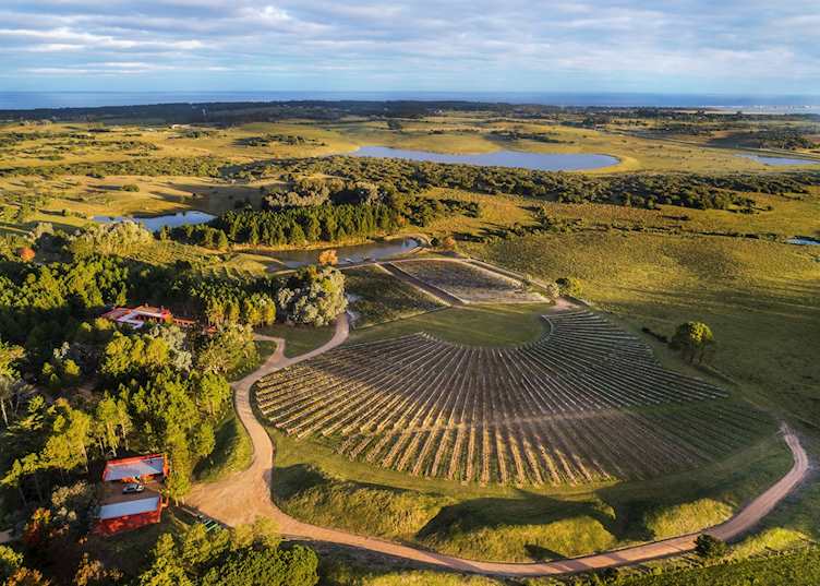 Arial view, LUZ Culinary Wine Lodge