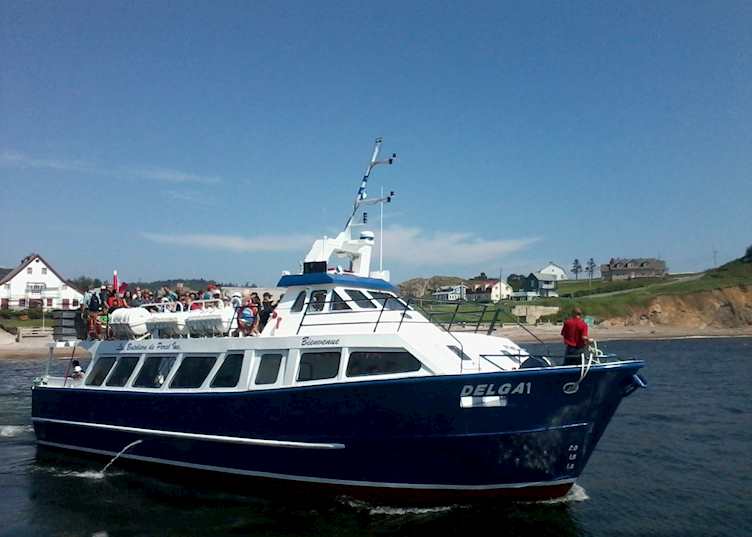 Perce Rock and Bonaventure Island cruise