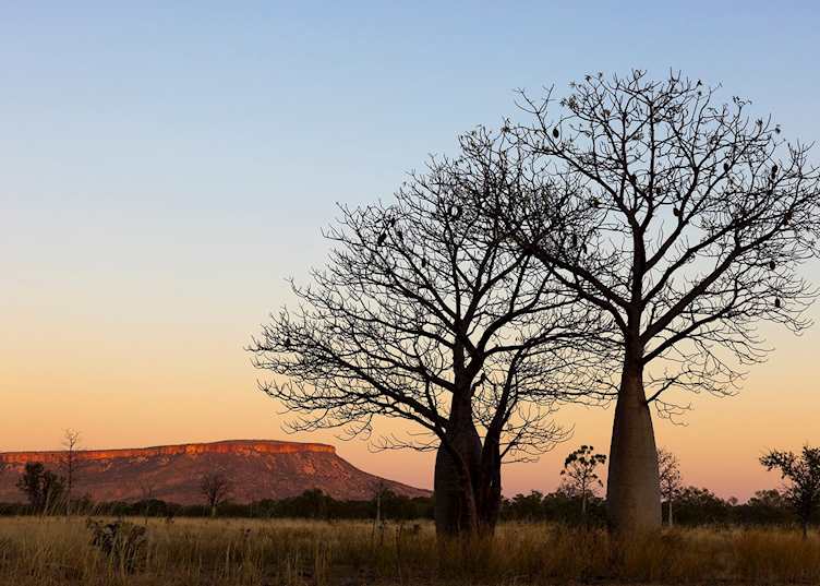 El Questro Wilderness Park, Western Australia