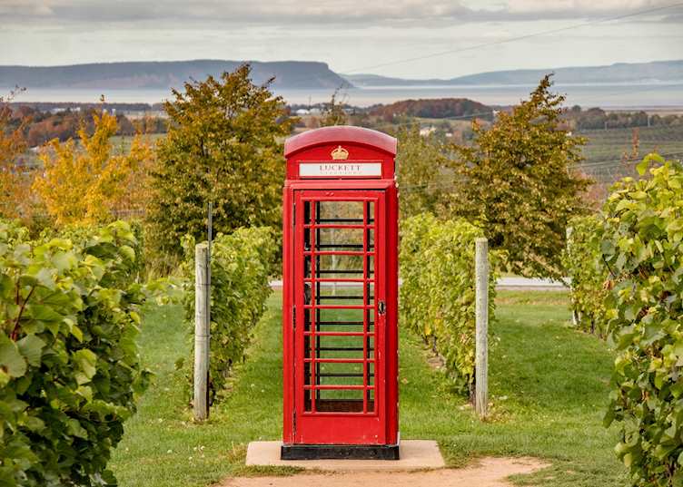 Luckett Vineyard in Annapolis Valley