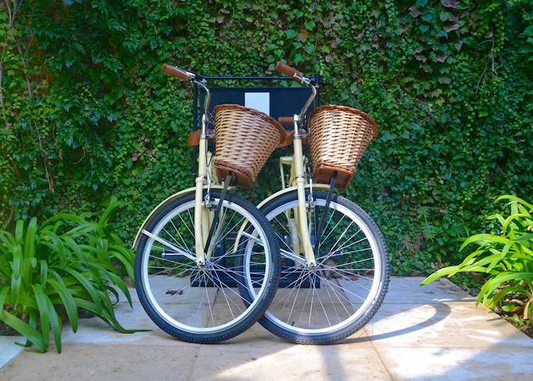 Bikes, Palo Santo