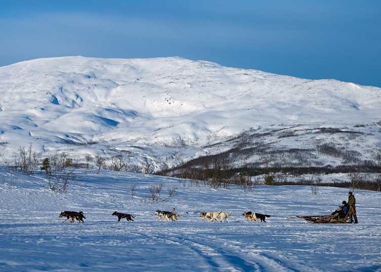 Husky sledding, Tromsø