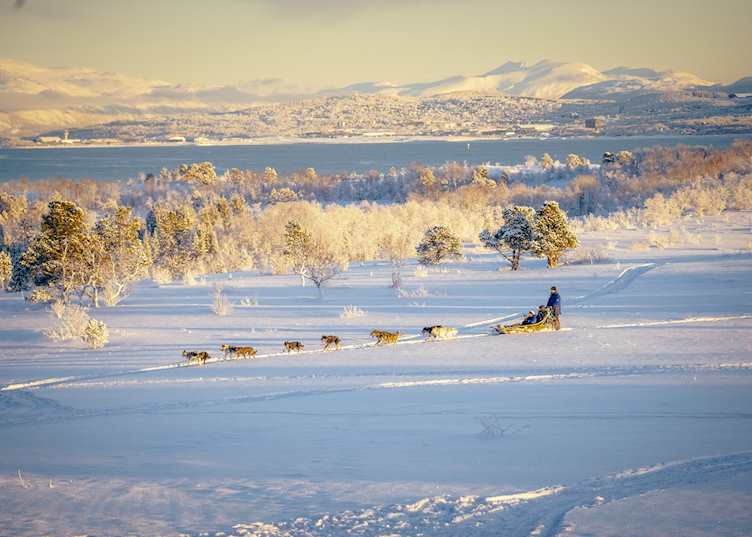 Husky sledding, Tromsø