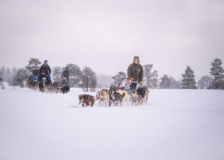 Husky sledding, Tromsø