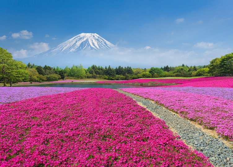 Mount Fuji, Japan