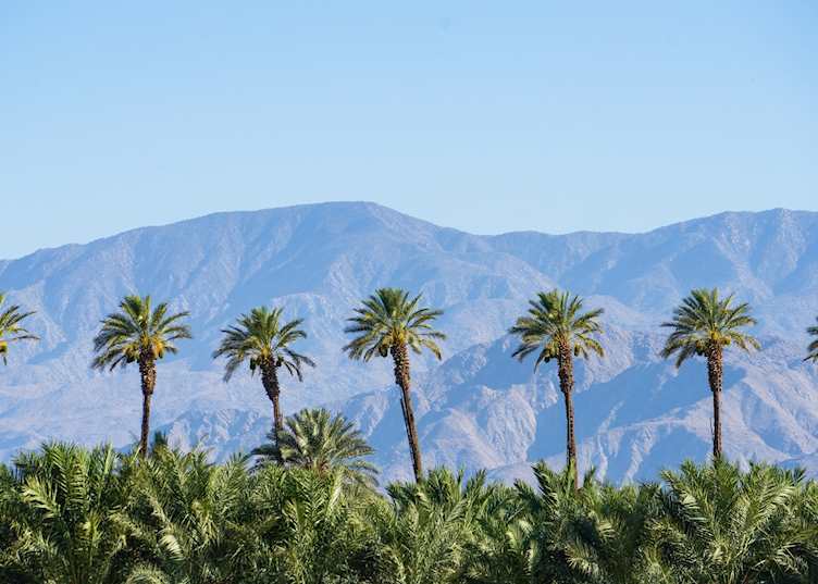 Palm Springs