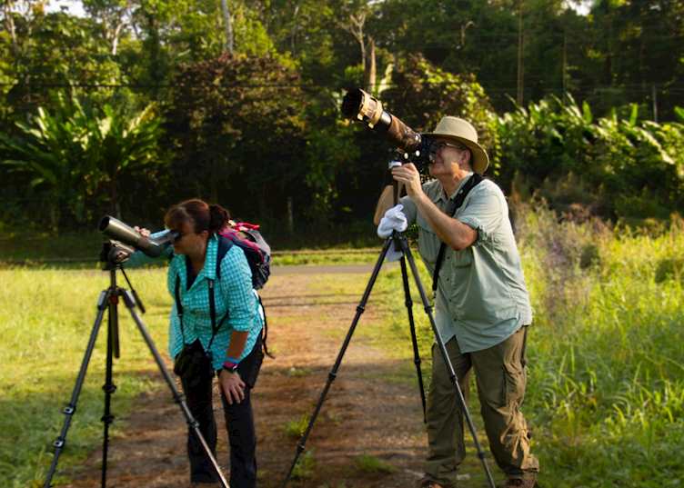 Birdwatching, Selva Verde Lodge 
