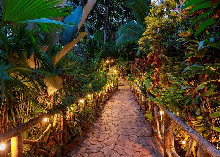 Garden, Si Como No