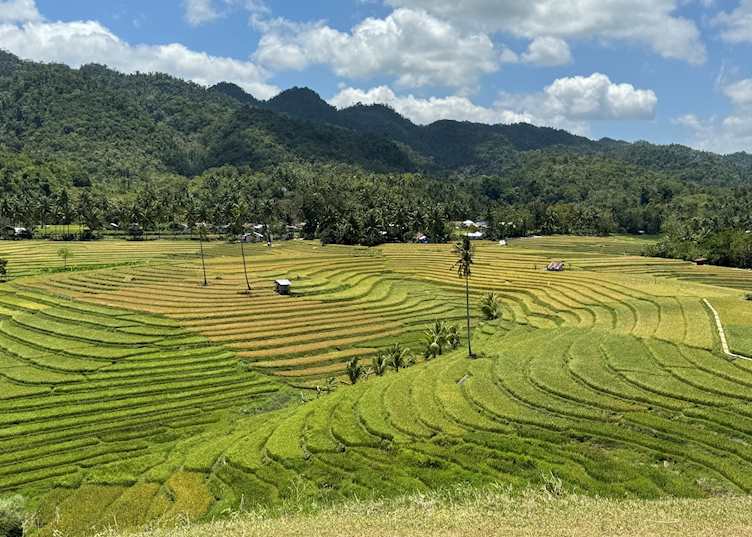 Candijay, Eastern Bohol