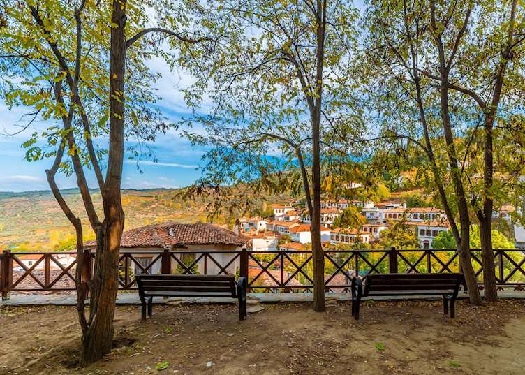 View over Şirince