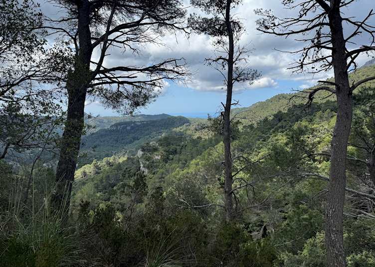 Trumuntana Mountains, Mallorca