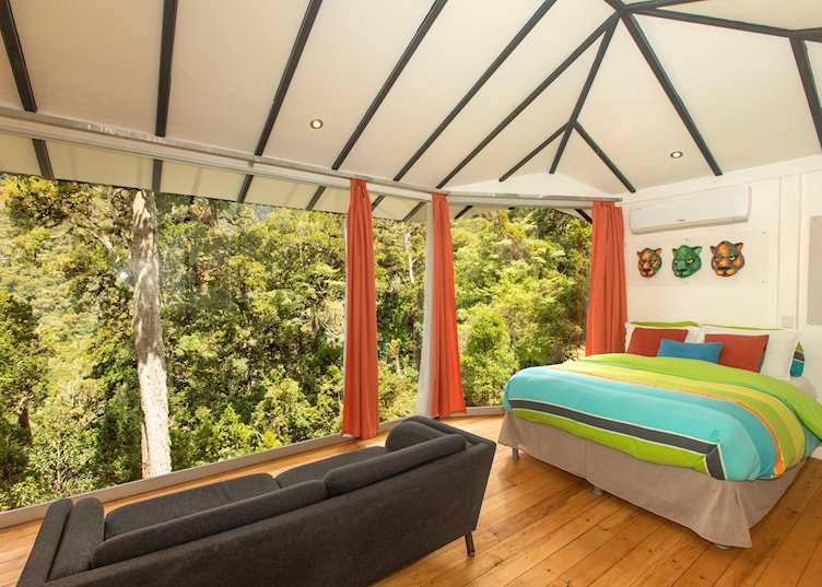 Room, Dantica Cloud Forest Lodge 