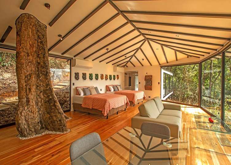 Room, Dantica Cloud Forest Lodge 
