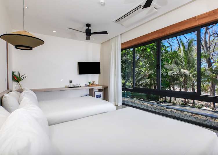 Room, Nantipa