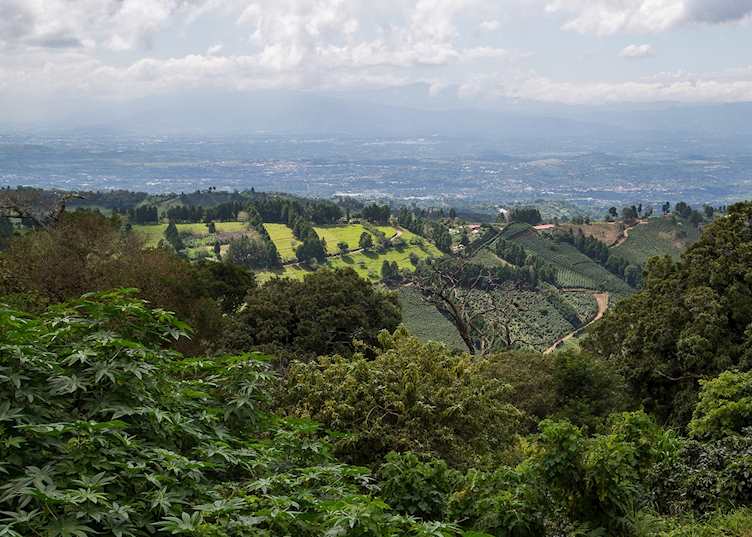 View, Chayote Lodge