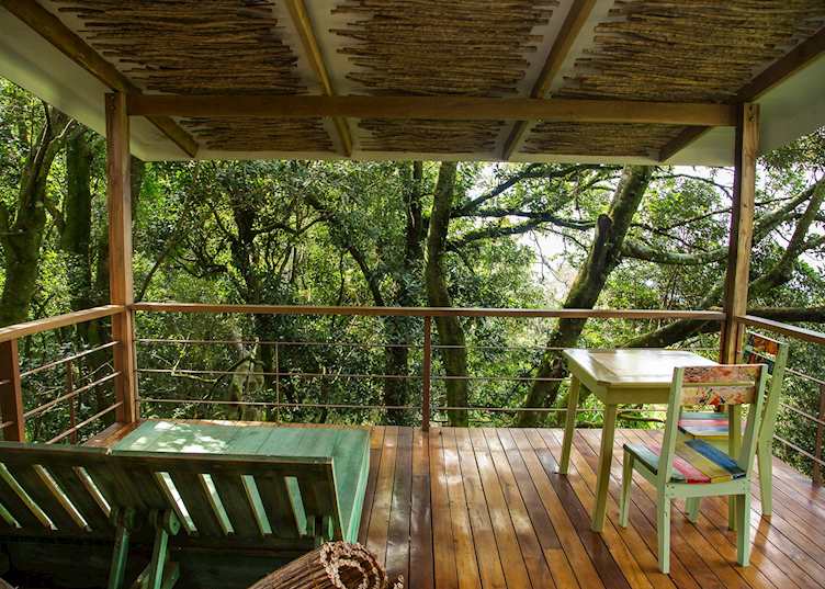 Suite, Chayote Lodge