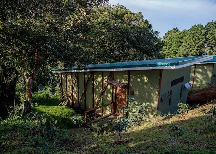 Suite, Chayote Lodge