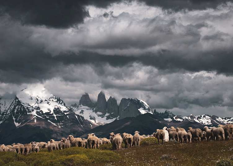 Ranch, Estancia Cerro Guido