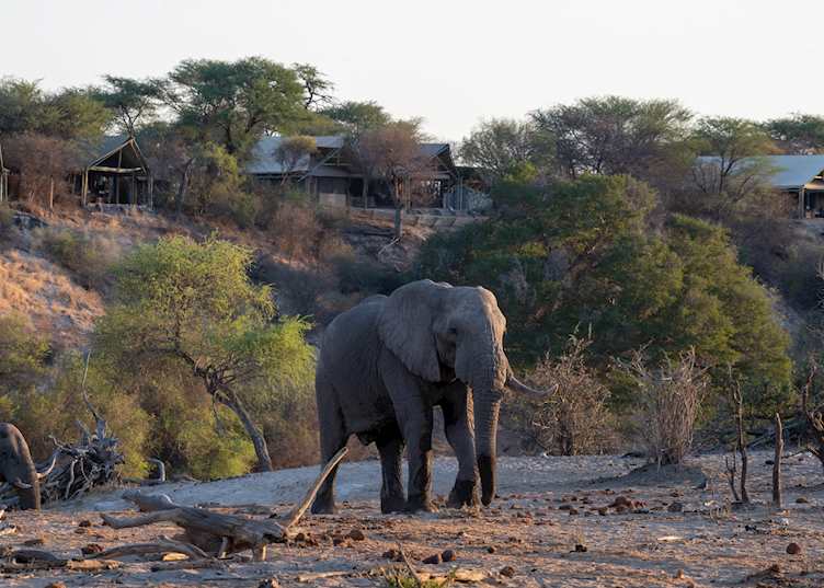 Views from Meno A Kwena, Makgadikgadi Pans