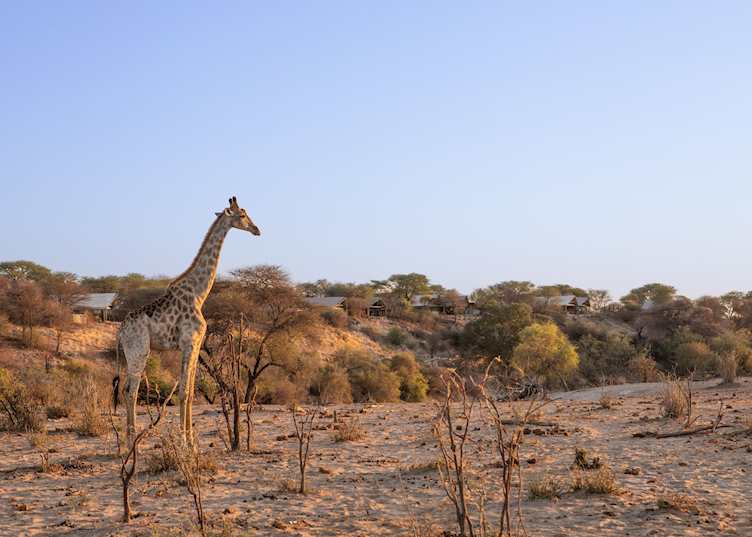 Meno A Kwena, Makgadikgadi Pans