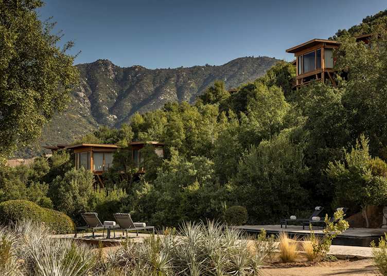 Grounds, Clos Apalta