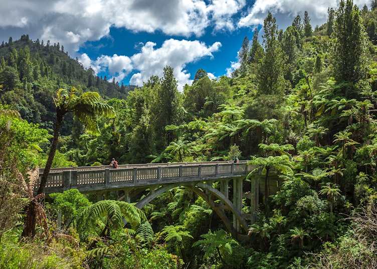 Bridge to Nowhere, Whanganui National Park
