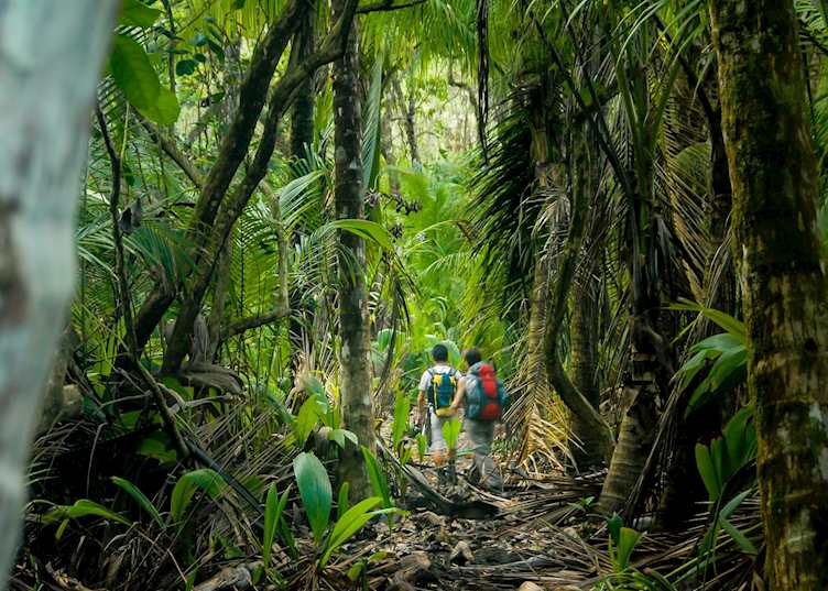 Trekking in Corcovado National Park