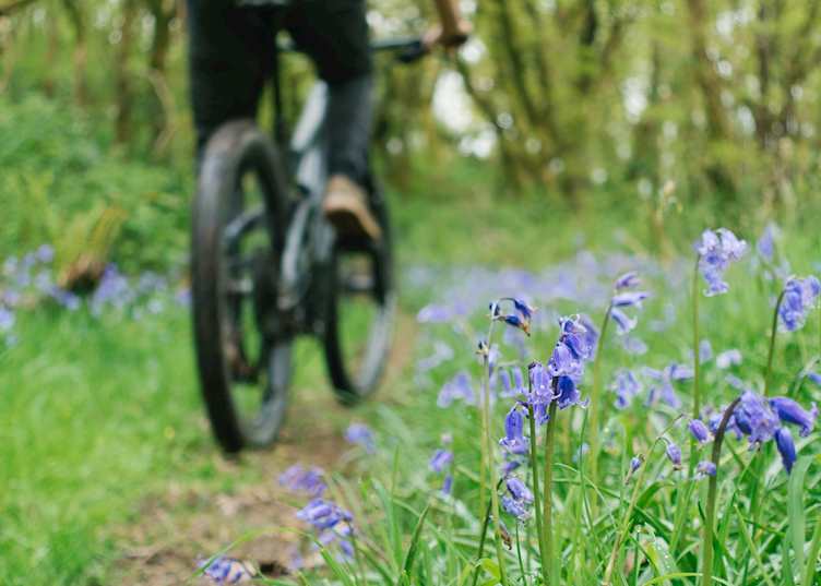 E-mountain biking, Pembrokeshire