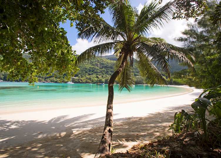 Beach at Constance Ephelia