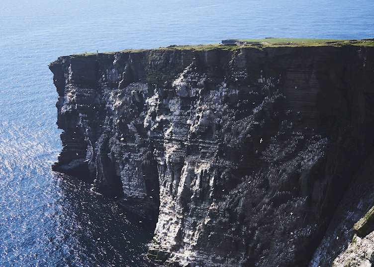 Noss National Nature Reserve, Shetland
