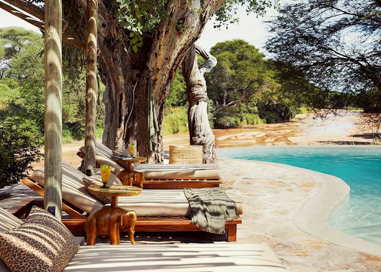 Pool area, Jongomero Camp 