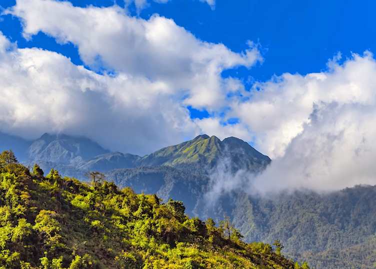 Tonkinese Alps, Sapa