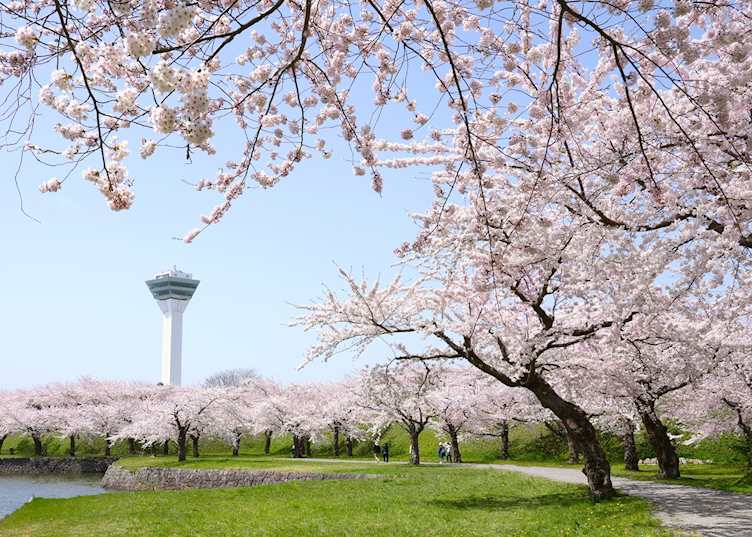 Goryokaku Tower, Hakodate