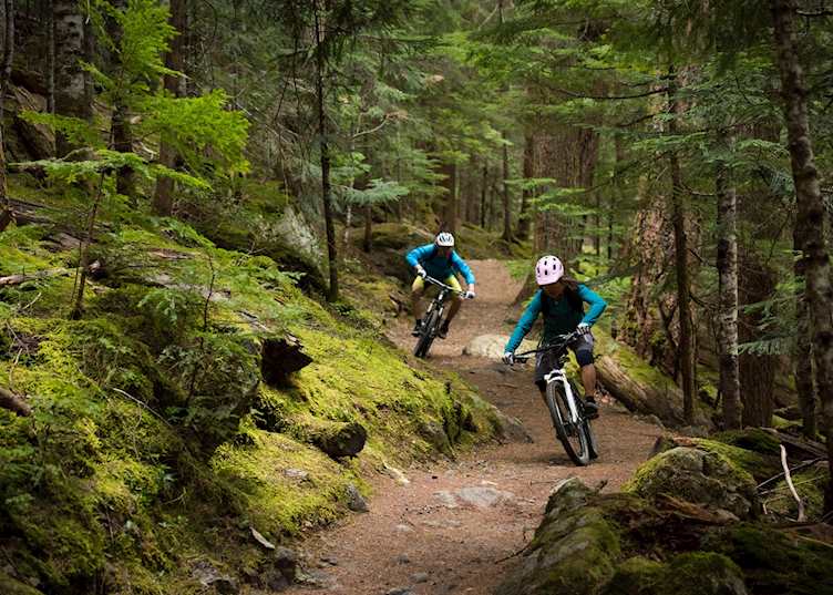 Mountain bikes on a trail in Whistler