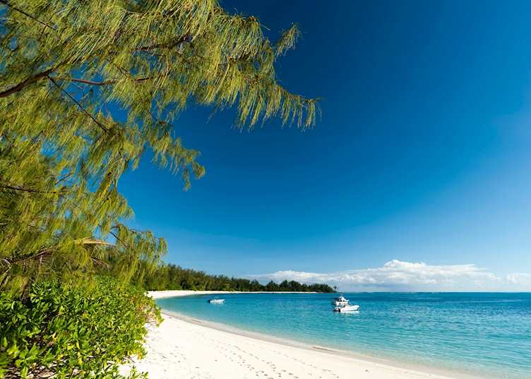 Denis Island, The Seychelles