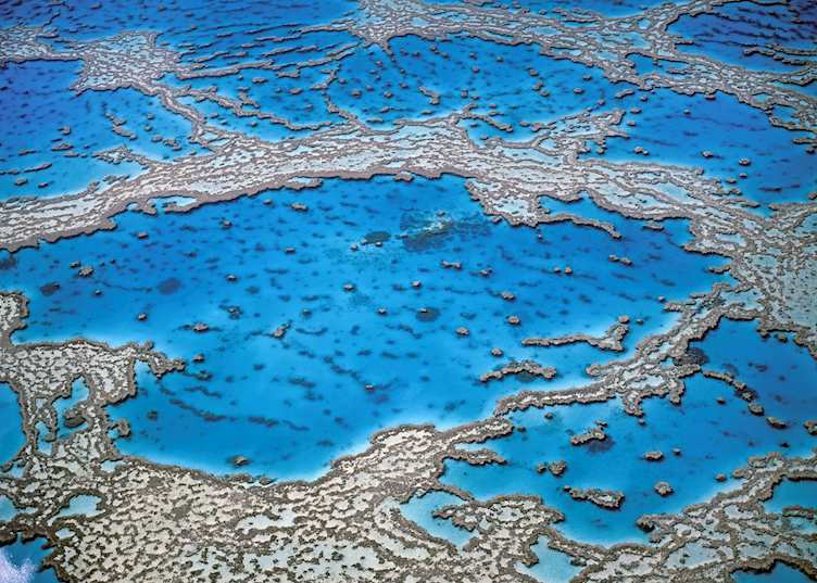 Hardy Reef in the Whitsunday Islands