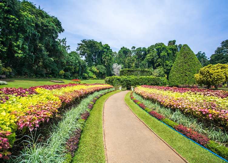 Royal Botanic Gardens Peradeniya, Kandy