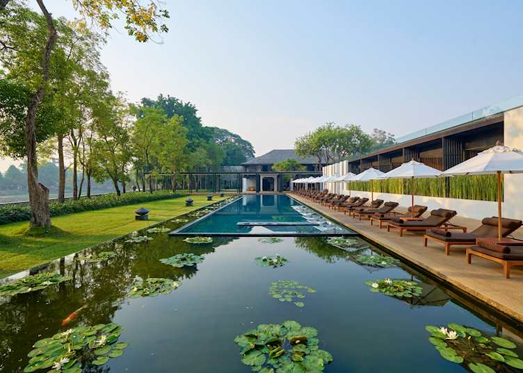 Swimming pool and lotus pond, Anantara Chiang Mai Resort